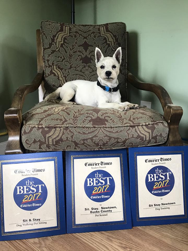 Best in Bucks 2017