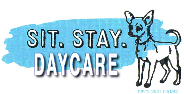Sit Stay Newtown PA Doggie Daycare