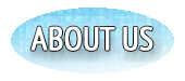 Sit Stay Newtown PA - Dog Day Care Daycare
